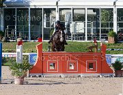 Buldini Doc Dux Giovanili2013  S5 5481 : Arezzo Equestrian Centre, Buldini Lavinia, Doc Dux, foto di Stefano Secchi ©. Campionati Italiani Giovanili 2013